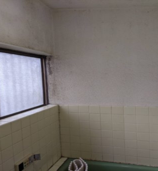 バスルーム　カビ取り